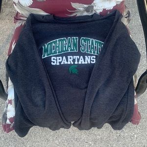 Mens Michigan state shirt